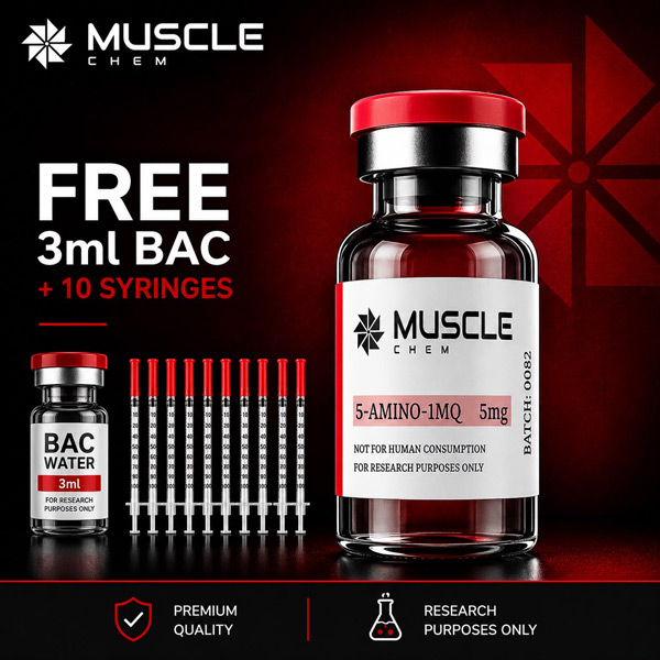 5 amino 1mq muscle building 5-Amino-1MQ 50mg Capsules 5 amino 1mq benefits and
